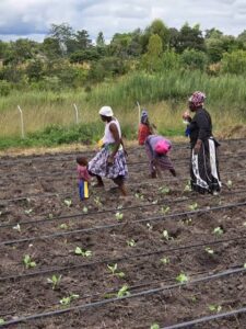 5 Industries That Could Exist Forever in Zimbabwe — and the Opportunities for Entrepreneurs